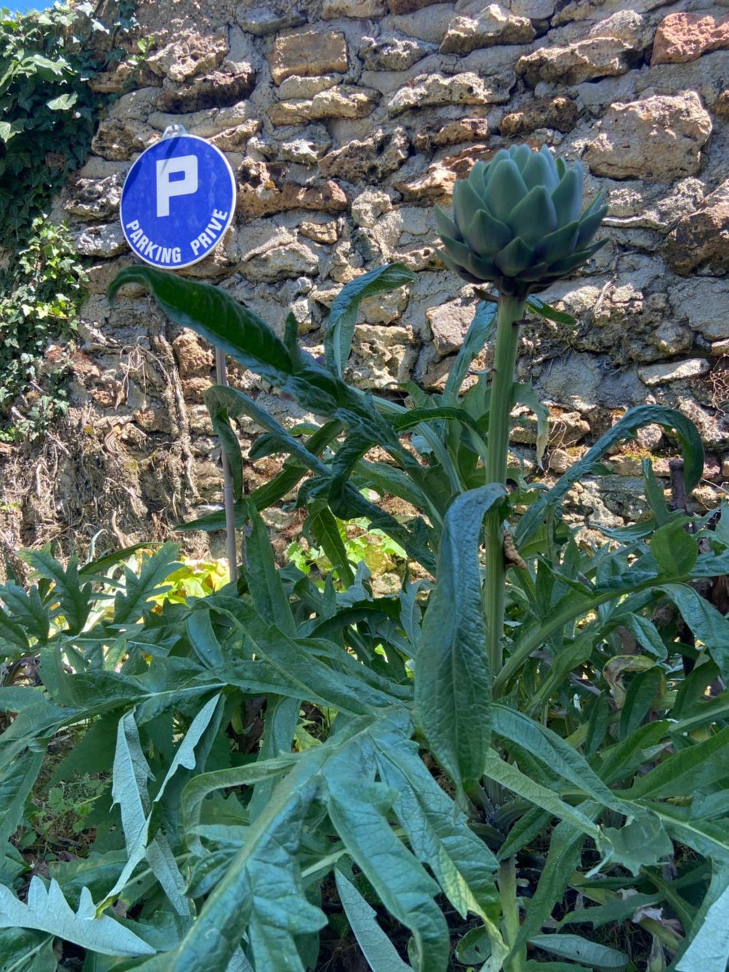 Willa La Petite Maison Dans La Brie Guérard Zewnętrze zdjęcie